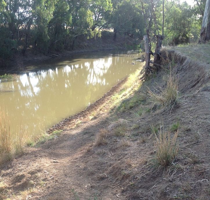 Lachlan river, 12 mile reserve Forbes, access